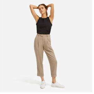 Everlane Put-Together Pleat Pants